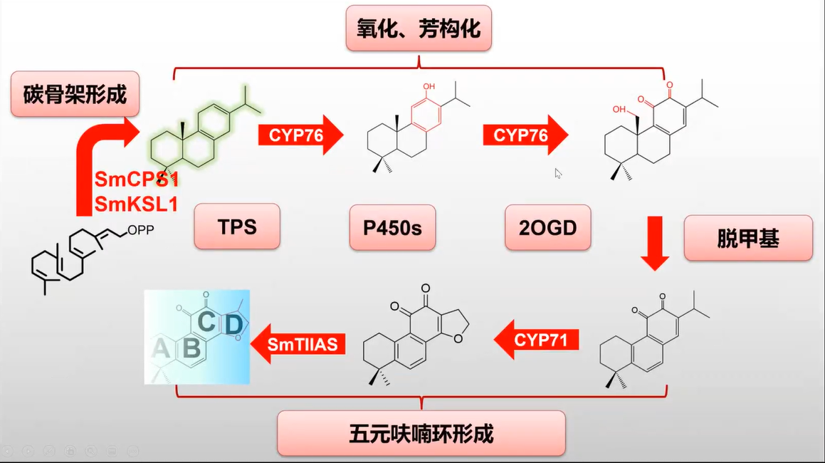 皇冠体育